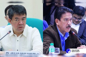 Palace hands off on change in Senate leadership  